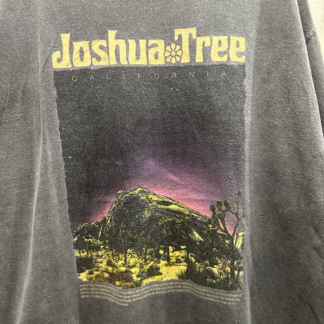 used JOSHUA TREE TEE