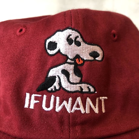 if you want dog cap