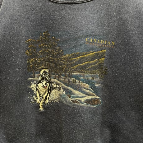 used CANADIAN MARSHLANDS SW