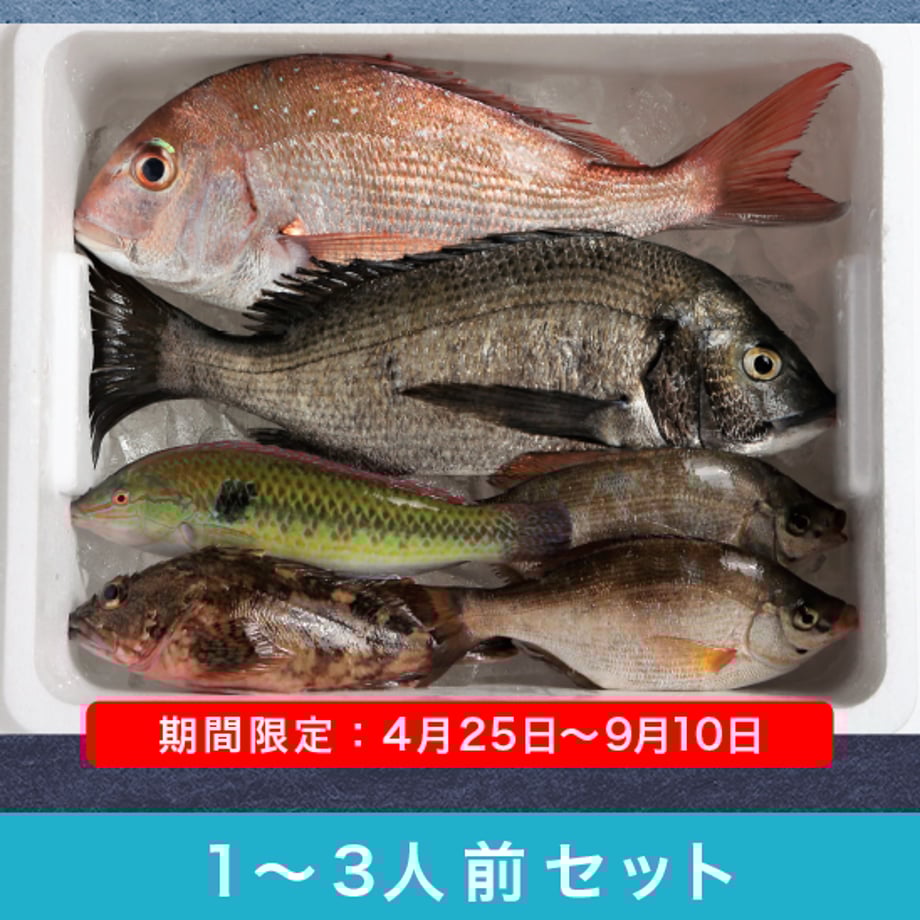 58ba7cdb04d3014a4000c2d7