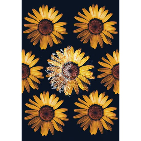 Sunflower【Digital file】