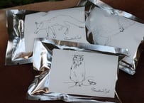 再入荷！Forester'sSet（3種類×各1pac）（約6杯分）