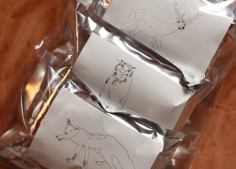 再入荷！Forester'sSet（3種類×各1pac）（約6杯分）