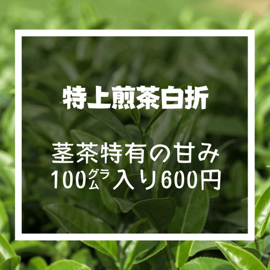 589dbd3341f8e80695001c7d