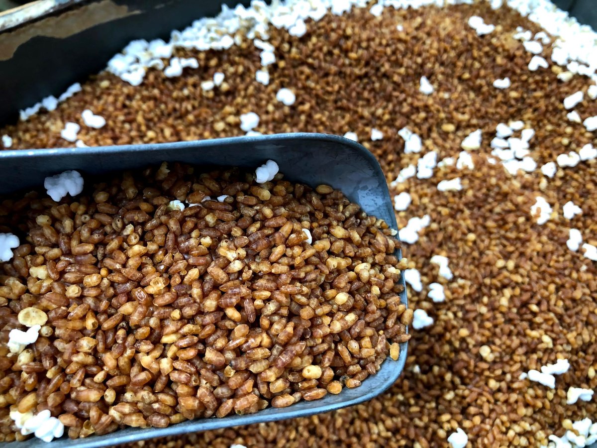 玄米（玄米茶の素）125g入り | 田中茶舗STORE