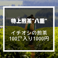 【令和7年産新茶】九州銘茶・特上煎茶"八重"
