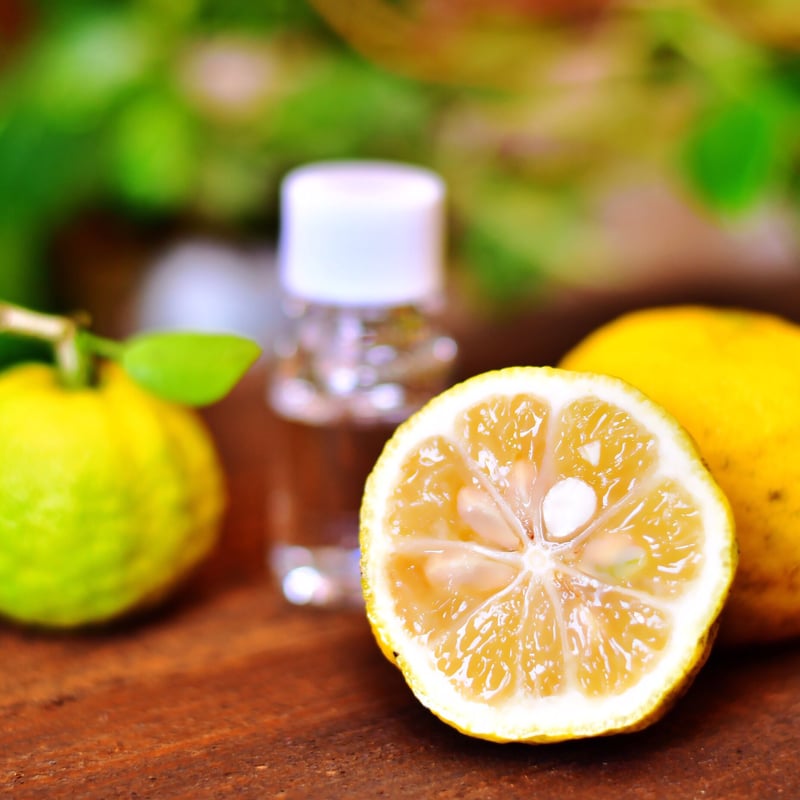 九頭龍シャンプー 【500ml】1本 | 九頭龍シャンプー