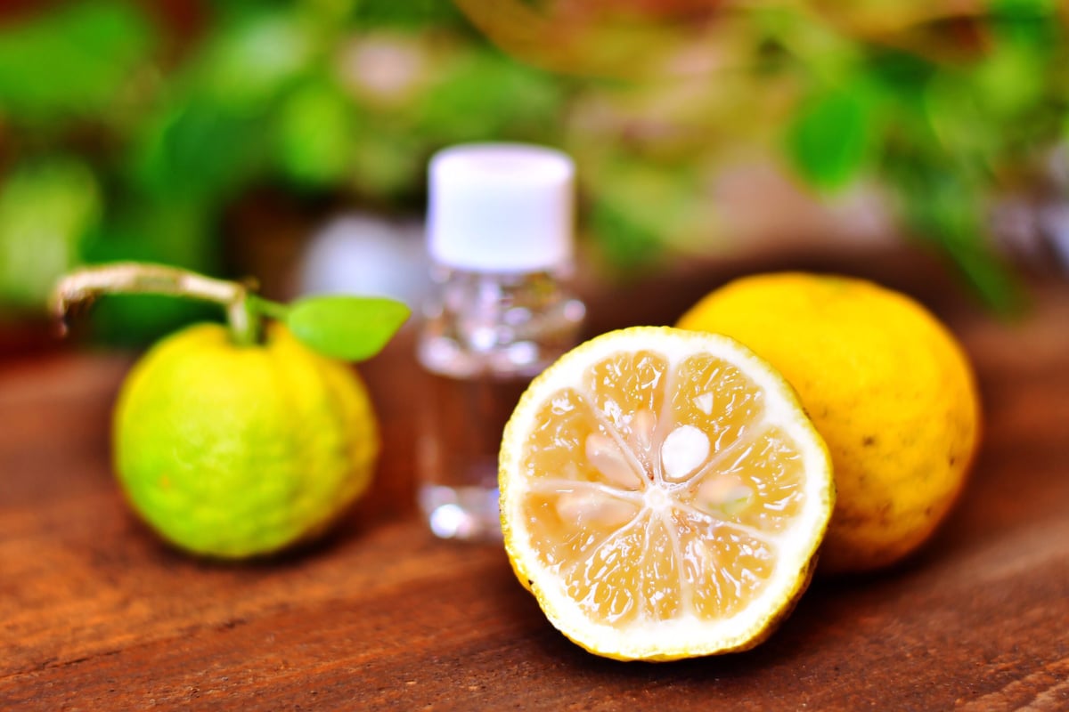 九頭龍シャンプー 【500ml】1本 | 九頭龍シャンプー