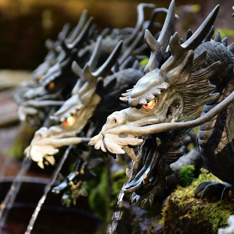 FFCスーパーシャンプー&トリートメント｜美容 FFCスキンケア