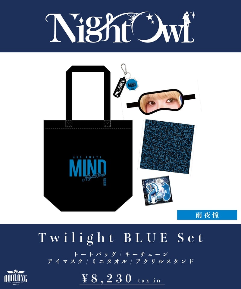 NightOwl 雨夜憧 グッズまとめ売り NightOwl 雨夜憧 グッズまとめ売り タレントグッズ