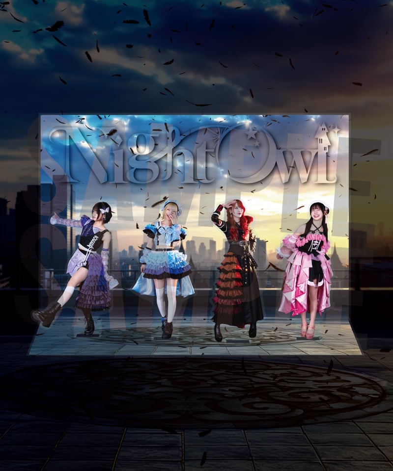 NightOwl][受注販売]【LIVE Blu-ray】LAST LIVE 『光』 @なん