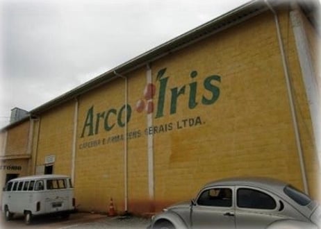 【BRAZIL】 アルコイリス農園 アマレロブルボン