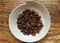 【ETHIOPIA】カッファ ジナブ農園 ゲイシャ G-3 Natural