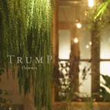 trumpflowers STORE