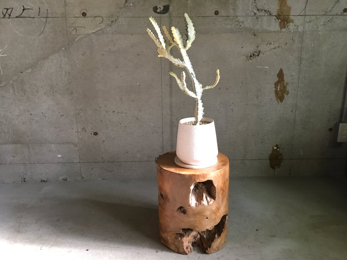 チークスツール***丸太*** | trumpflowers STORE