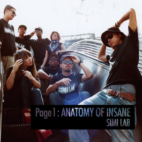 SIMI LAB “Page 1 : ANATOMY OF INSANE” (2LP)