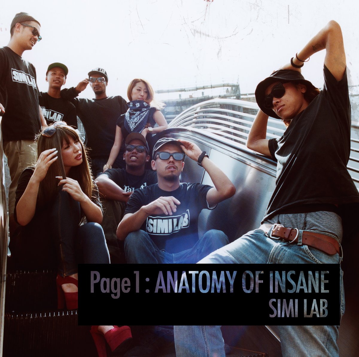 similab関連11枚/QN/OMSB等 SIMI LAB “Page 1 : ANATOMY OF INSANE” (2LP) | S