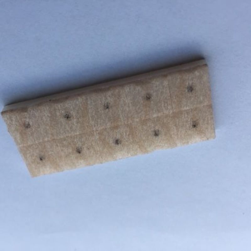 耳つぼシード（王不留行種）100粒入り 5箱セット | 島原 百草の郷