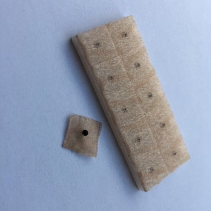 耳つぼシード（王不留行種）100粒入り 5箱セット | 島原 百草の郷