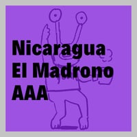 【深煎り】Nicaragua Jinotega ElMadrono AAA