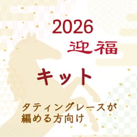 福袋キット（タティングレース編める方向け）