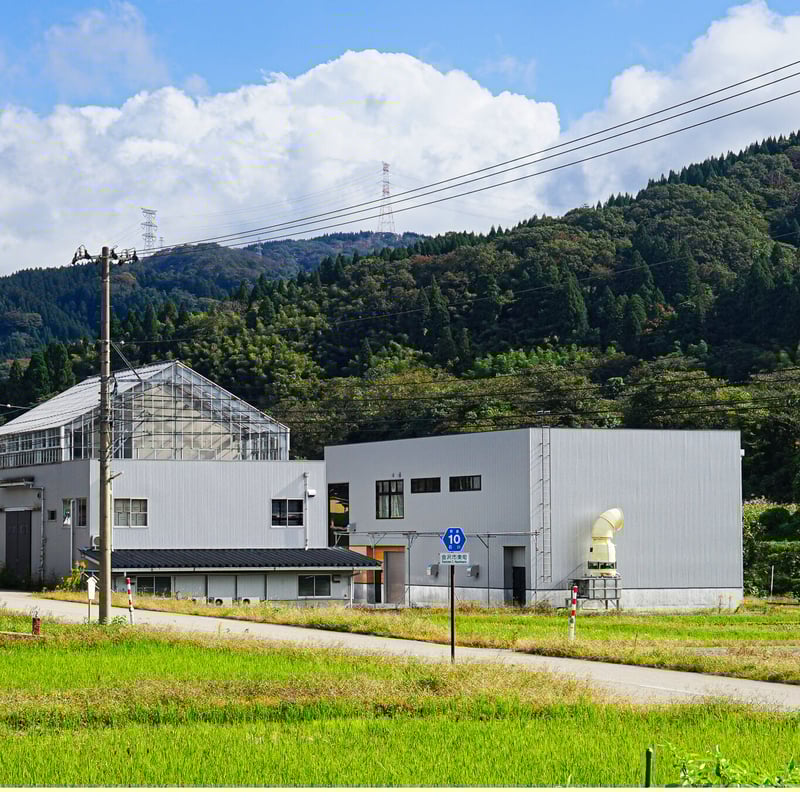 blanc ブラン(金沢クラフトジン) | ORIENTAL BREWING