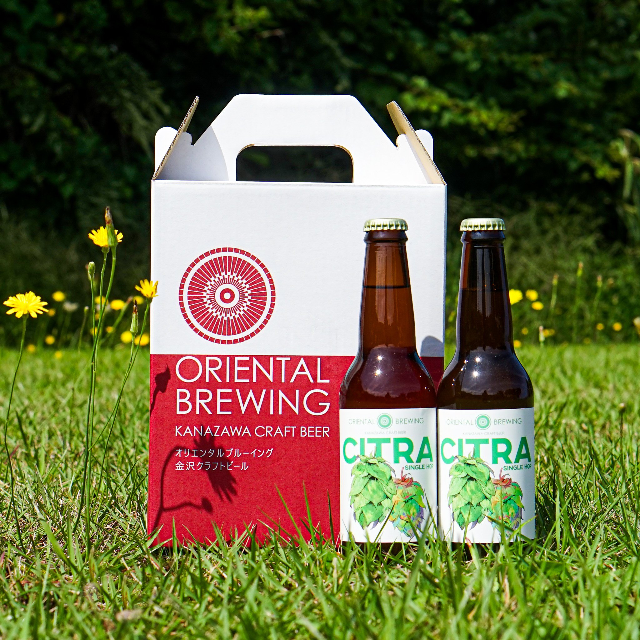 シトラ CITRA 6本入り | ORIENTAL BREWING