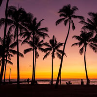 Hawaiian sunset