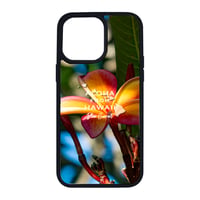 Plumeria Yellow-Pink