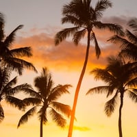 Hawaiian sunset