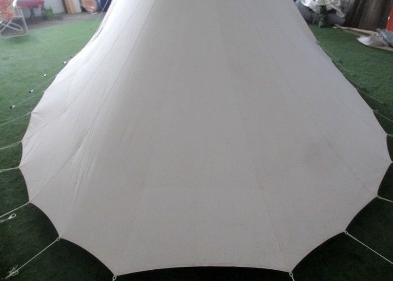 1808101】De Waard Albatros Junior（フルオプション） | CH