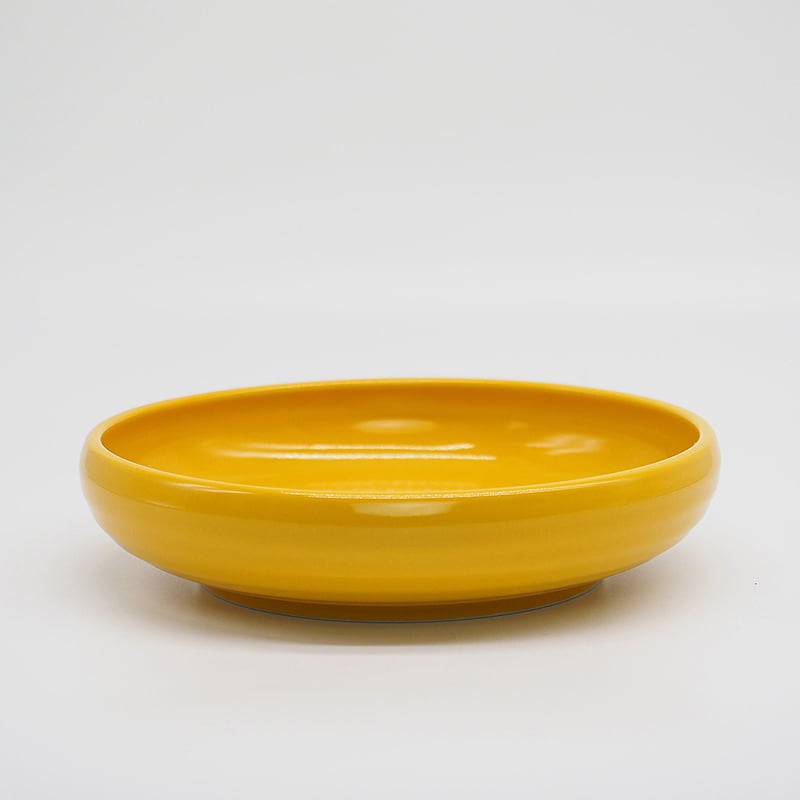 M061mt】パンとごはんと たべやすい器 PLATE L からし | CHIPS S