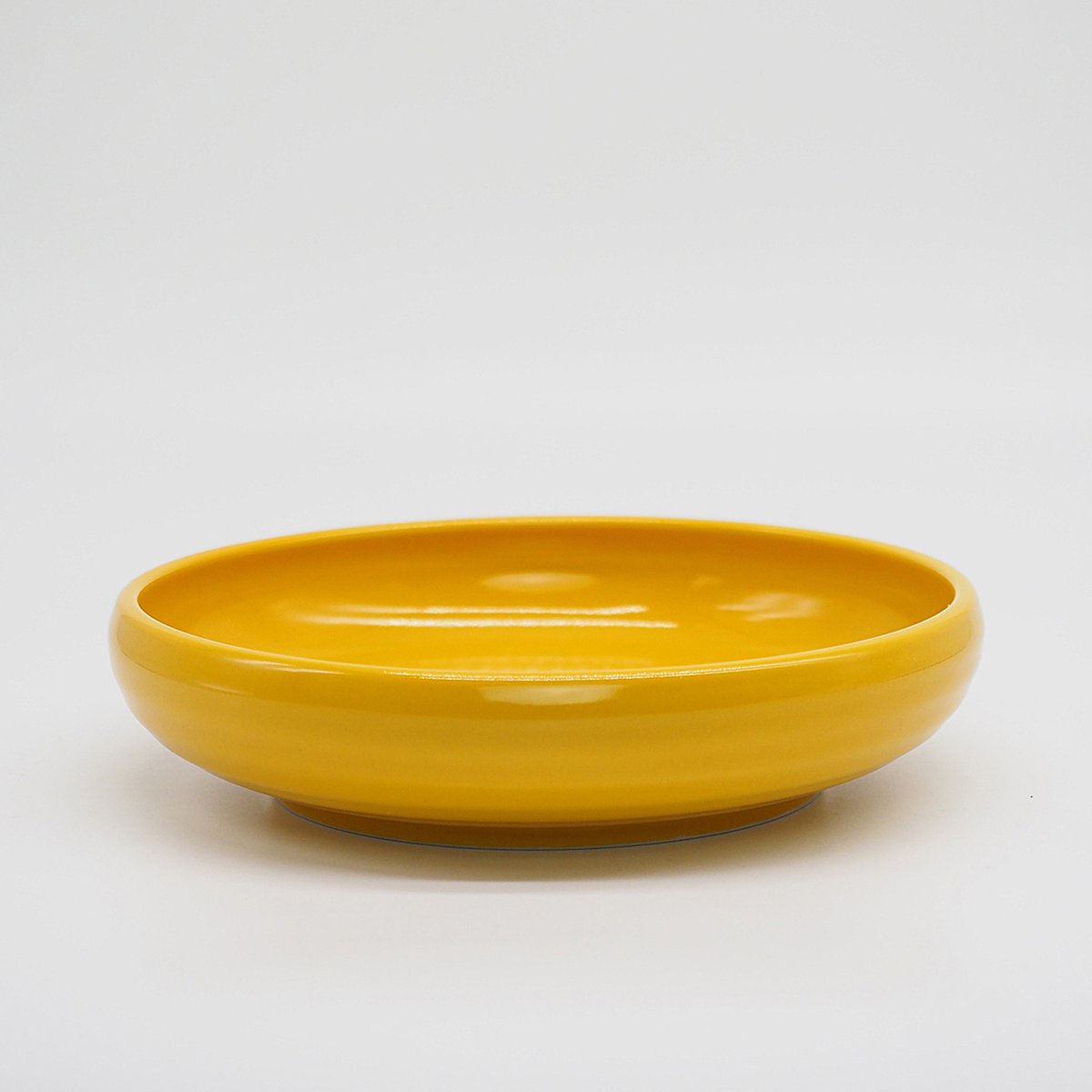   GARDEN MAZE 黄色の皿2枚 M061mt】パンとごはんと たべやすい器 PLATE L からし | CHIPS S