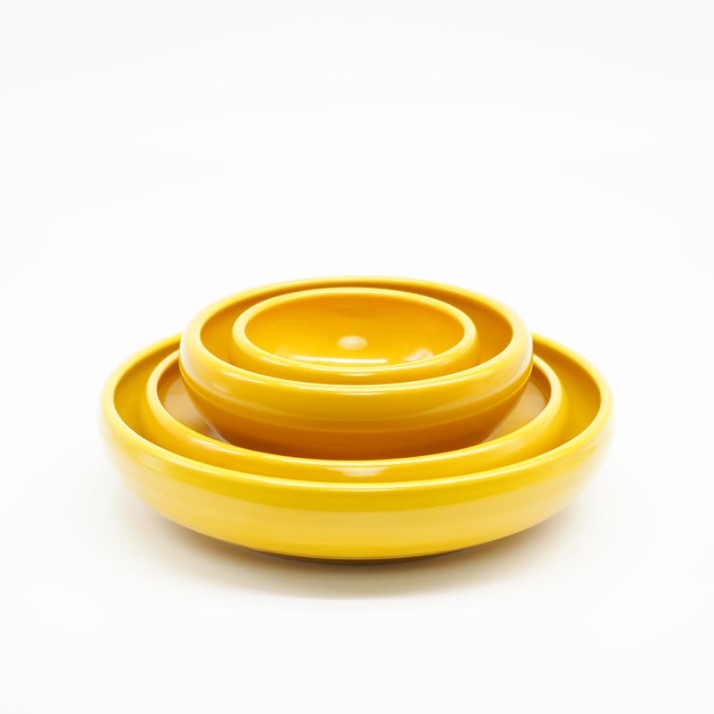 M061mt】パンとごはんと たべやすい器 PLATE L からし | CHIPS S