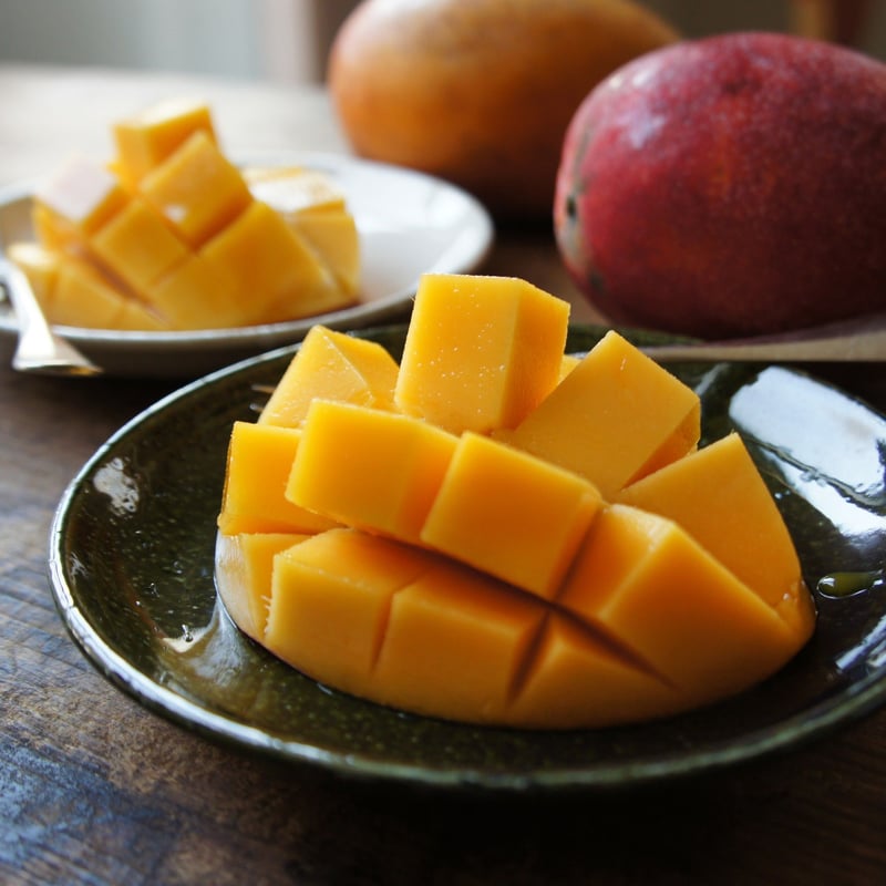 織部 現代 色彩皿 織部 現代 色彩皿