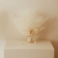 お祝いブーケ かすみそう fuwari big  bouquet