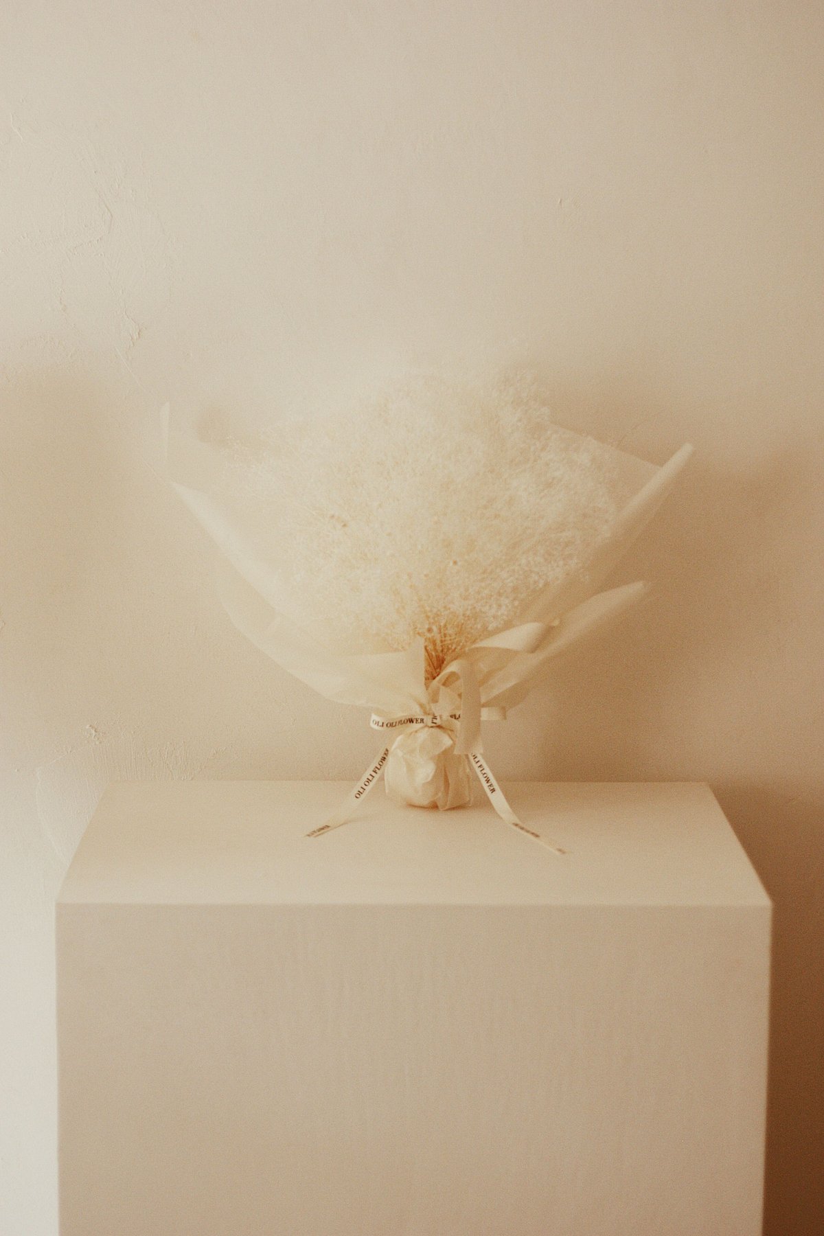 お祝いブーケ かすみそう fuwari big bouquet | OLIOLI FLOWER