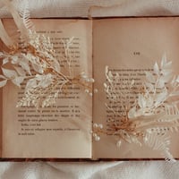 half hair  accessory ヘアアクセサリー (milk gold)
