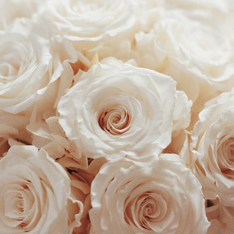 ダズンローズボックスantique white