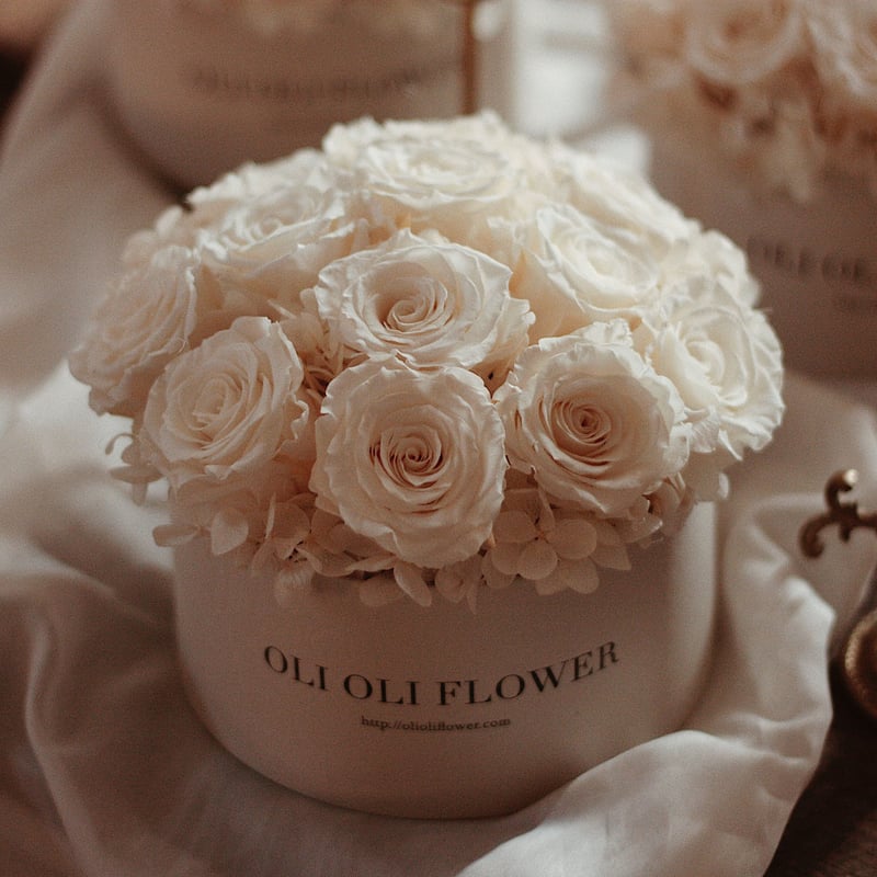 スポード ジョージアンシリーズ ボタニカル フローラル 各3客 ライラック レア スポード ジョージアンシリーズ ボタニカル フローラル 各3客