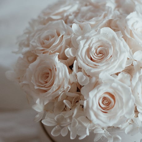 ダズンローズボックスantique white