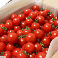じゅわっと溢れる糖度8〜11度！濃甘フルーツトマト「太陽のたまもの」1.5kg
