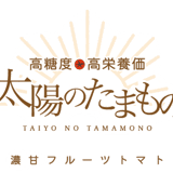 濃甘フルーツトマト「太陽のたまもの」Agrish Store