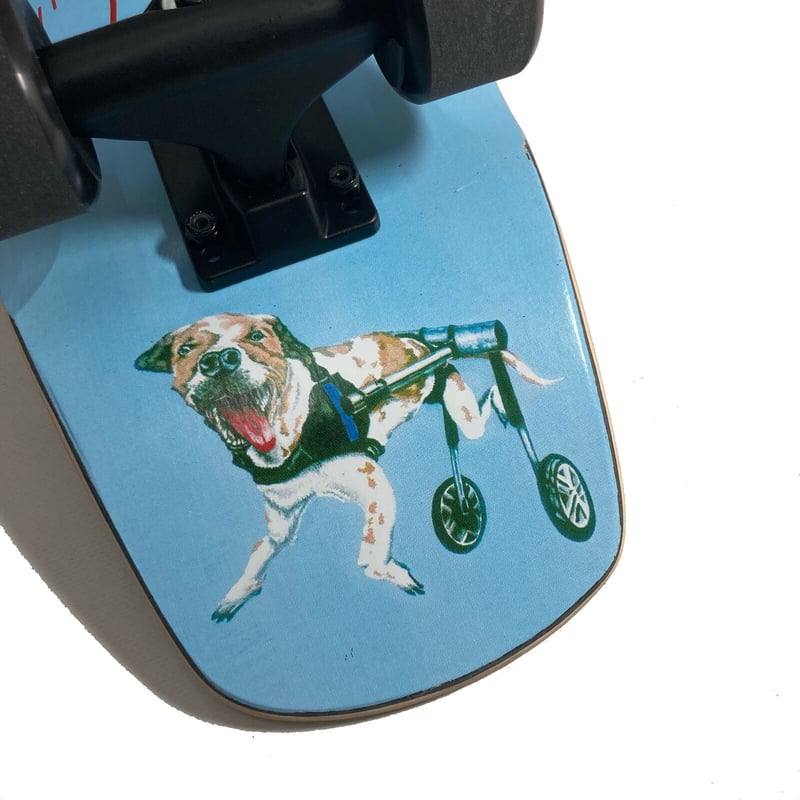 FESN W.P.S.I CRUISER DECK COMPLETE (7.875, 8.25 FESN W.P.S.I CRUISER DECK COMPLETE (7.875, 8.25