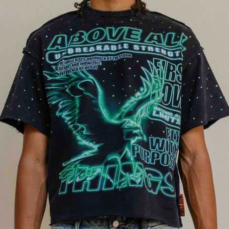 FIRST ROW ABOVE ALL THINGS NOCTURNAL FLIGHT CROPPED TEE (Black)｜ファーストロウ アバブ オール フライト クロップド ティー（ブラック）
