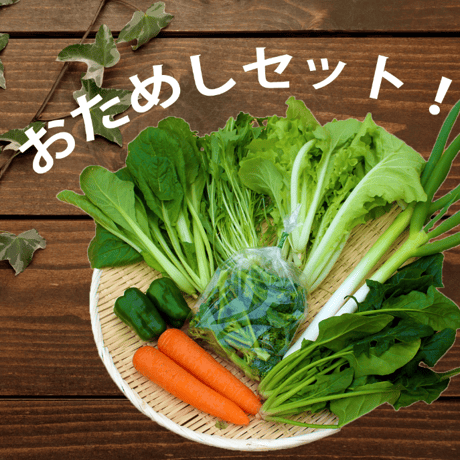 【おためし】Veggieこだわり野菜セット Sサイズ　6品目～（1~2人分）