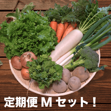 【定期便】Veggieこだわり野菜セット Mサイズ　8品目～（3~4人分）