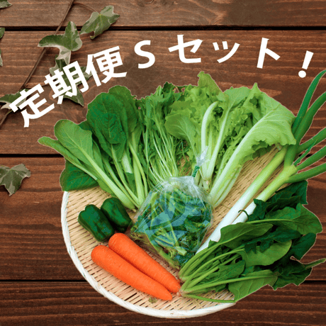 【定期便】Veggieこだわり野菜セット Sサイズ　6品目～（1~2人分）