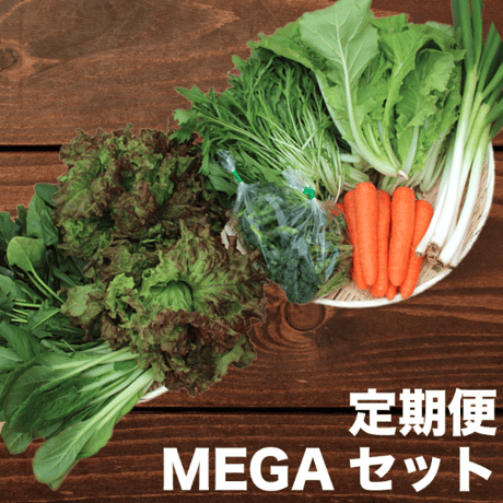 【定期便】Veggieこだわり野菜セット MEGAサイズ　8品目～（7~8人分）