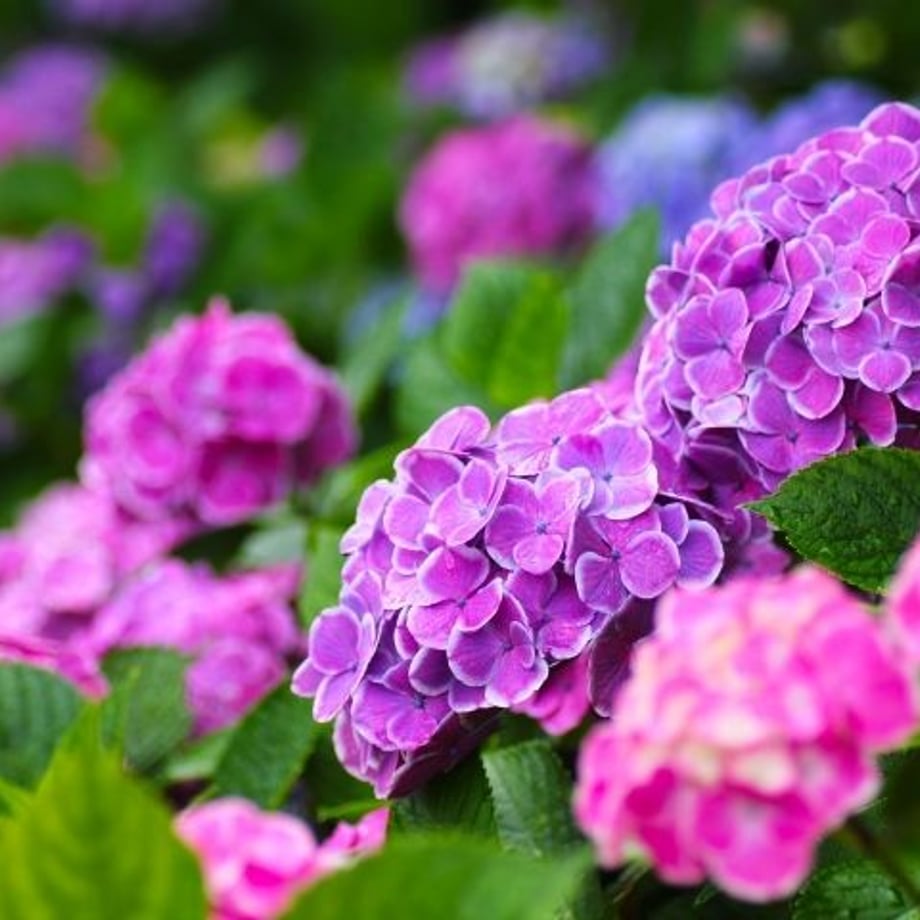 58b47b5041f8e84bb5003c2b
